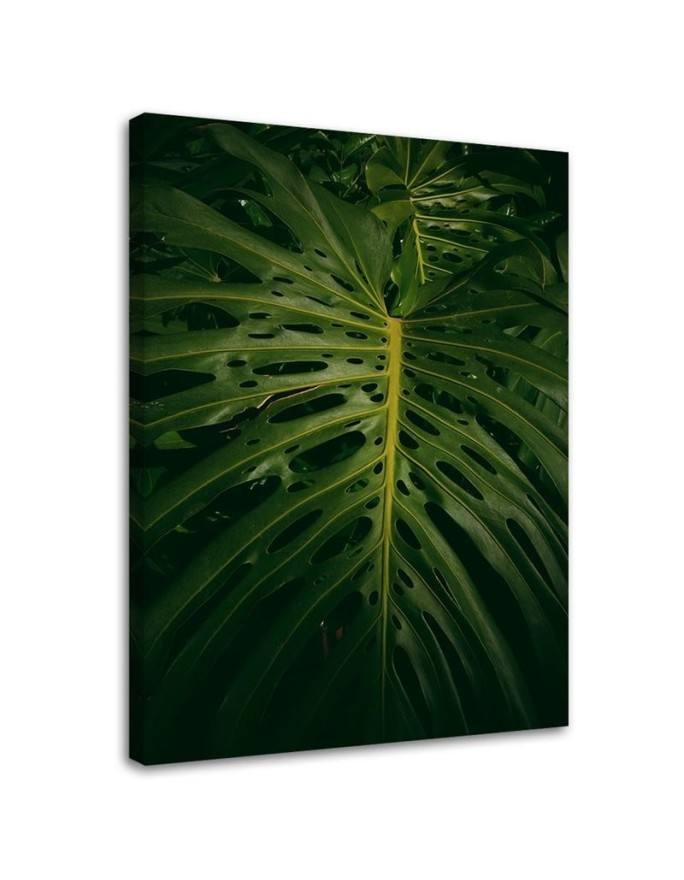 Canvas painting for room - Exotic leaf | FEEBY