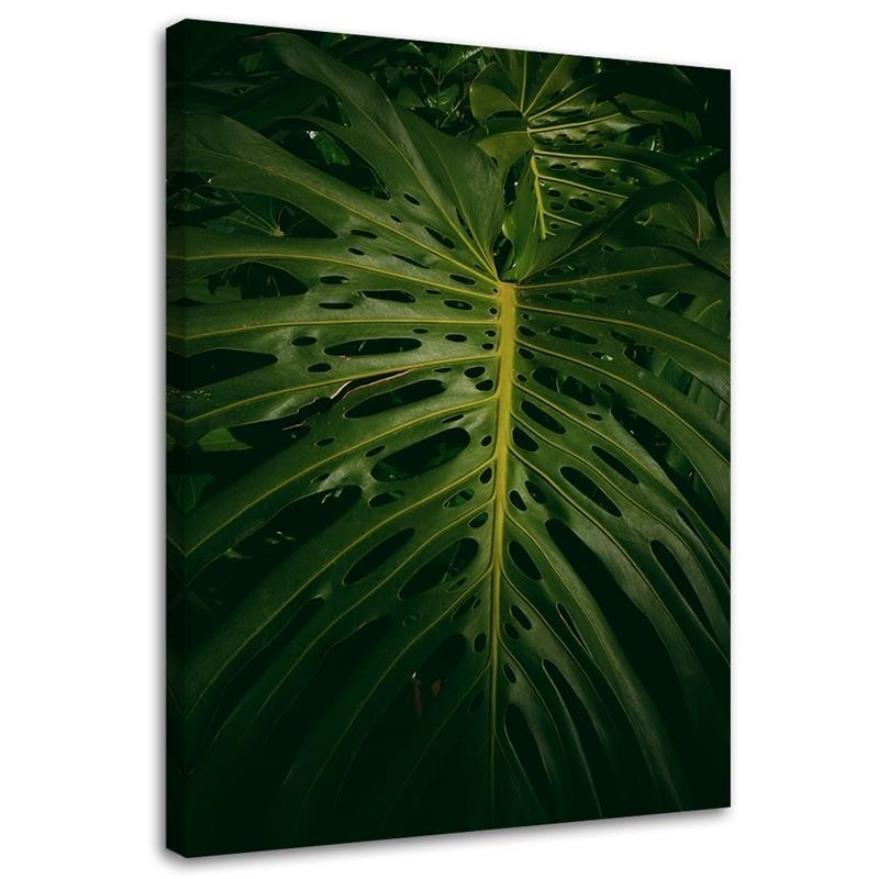 Canvas painting for room - Exotic leaf | FEEBY