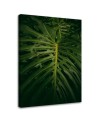 Canvas painting for room - Exotic leaf | FEEBY