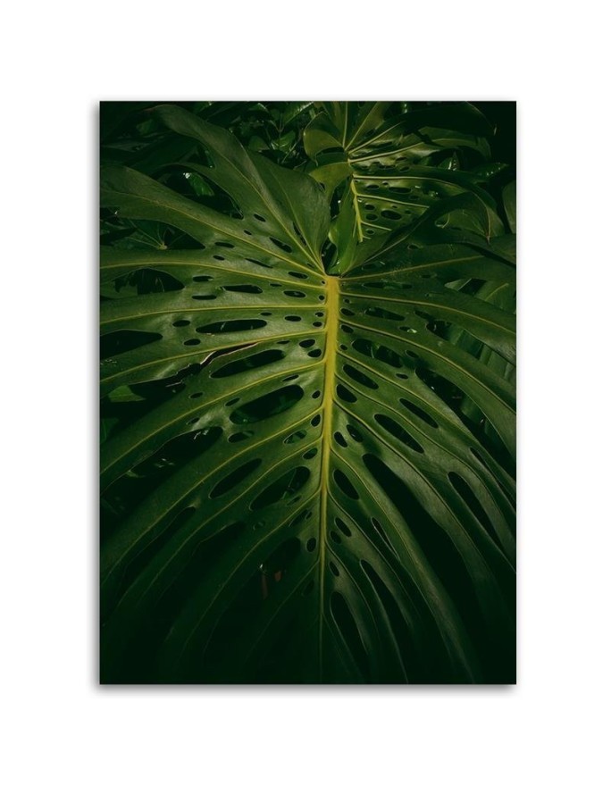 Canvas painting for room - Exotic leaf | FEEBY