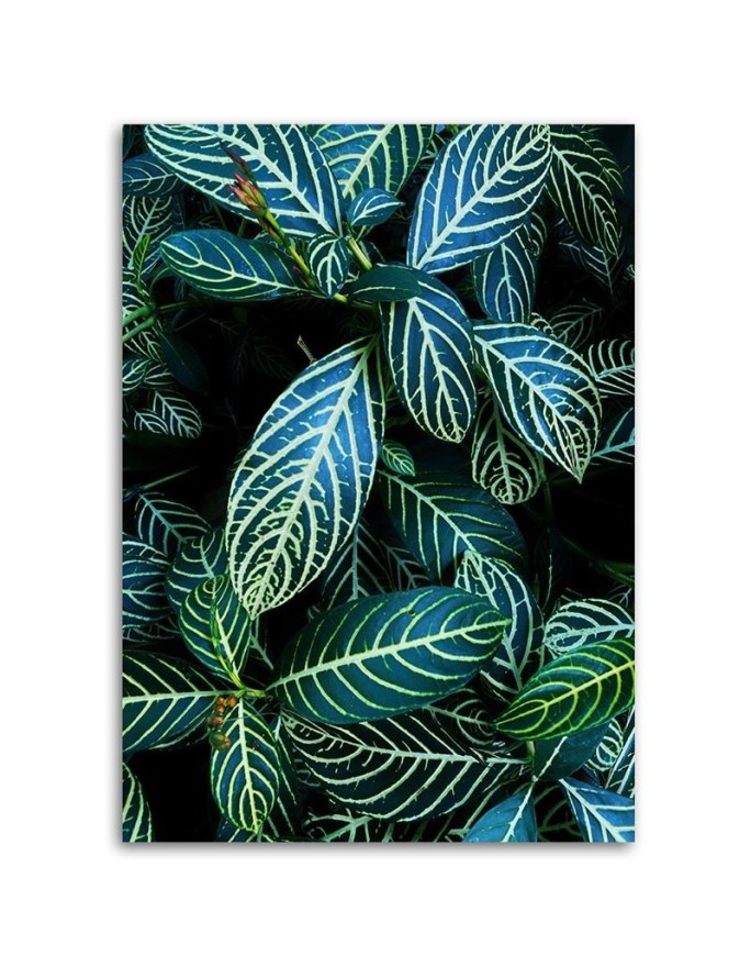 Canvas painting for dining room, kitchen - Tropical leaves | FEEBY