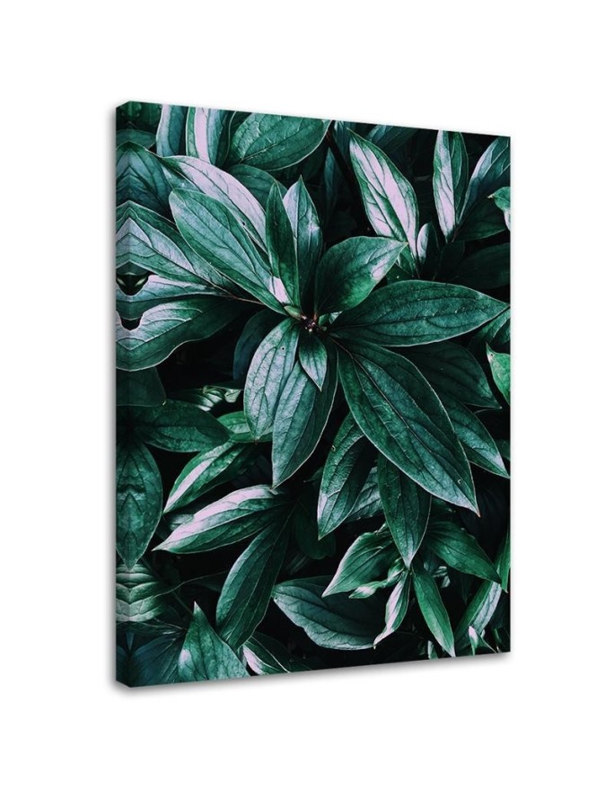 Modern Canvas paintings for wall - Leaves of tropical plants | FEEBY
