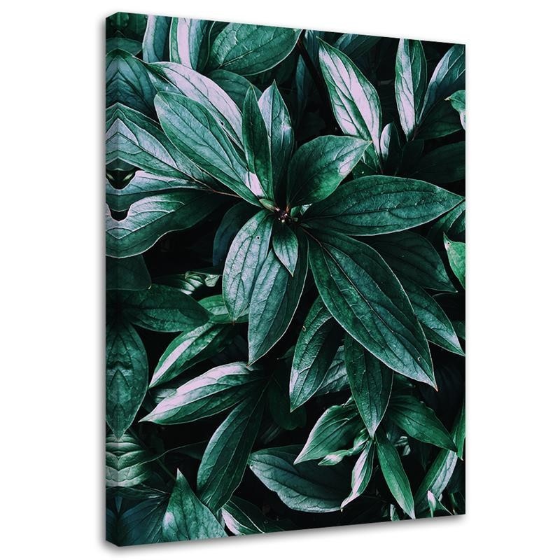 Modern Canvas paintings for wall - Leaves of tropical plants | FEEBY