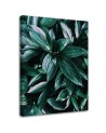 Modern Canvas paintings for wall - Leaves of tropical plants | FEEBY