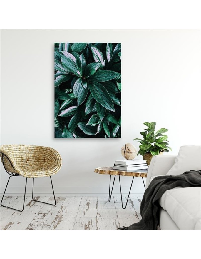 Modern Canvas paintings for wall - Leaves of tropical plants | FEEBY