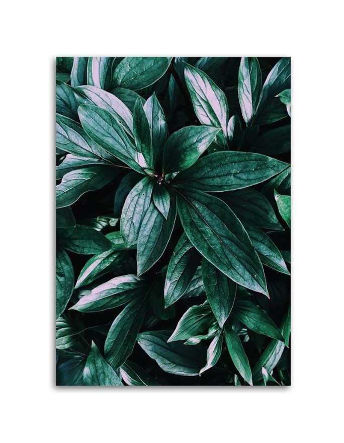 Modern Canvas paintings for wall - Leaves of tropical plants | FEEBY