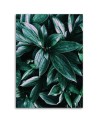 Modern Canvas paintings for wall - Leaves of tropical plants | FEEBY