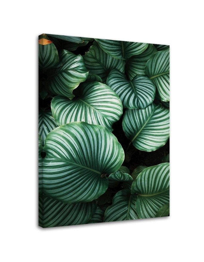Canvas prints - Tropical leaves for modern living room | FEEBY