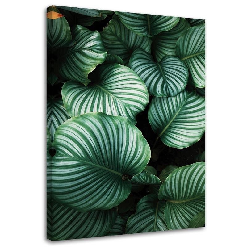 Canvas prints - Tropical leaves for modern living room | FEEBY