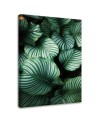 Canvas prints - Tropical leaves for modern living room | FEEBY