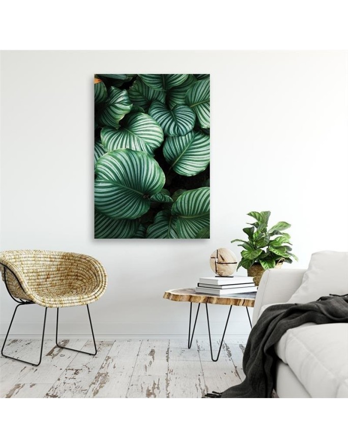 Canvas prints - Tropical leaves for modern living room | FEEBY