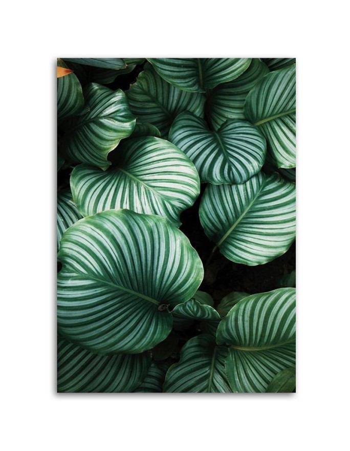 Canvas prints - Tropical leaves for modern living room | FEEBY
