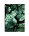 Canvas prints - Tropical leaves for modern living room | FEEBY