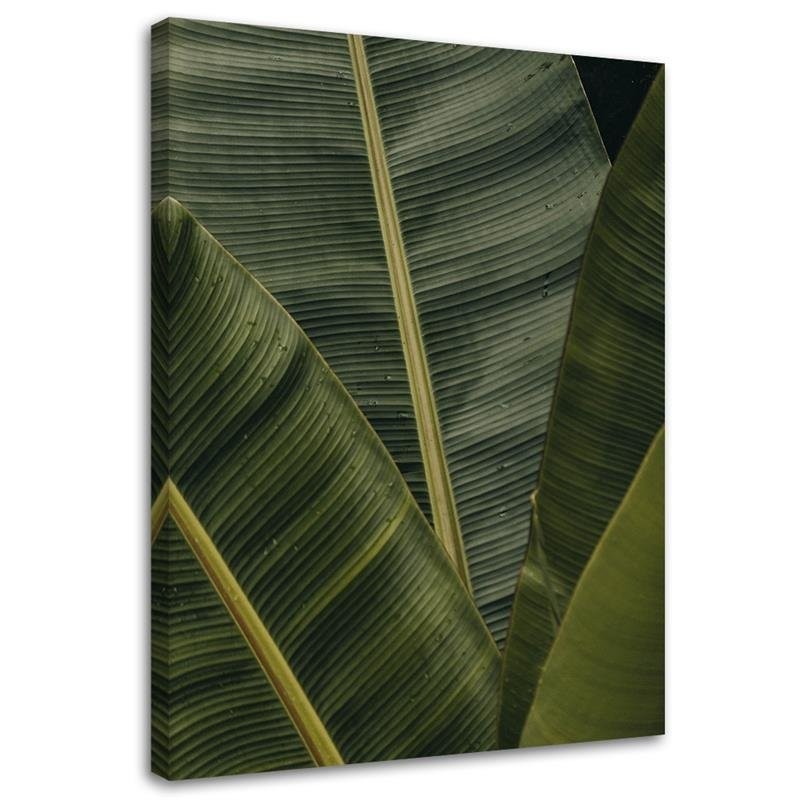 Leaf Canvas painting for room - Tropical banana leaves | FEEBY