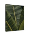 Leaf Canvas painting for room - Tropical banana leaves | FEEBY