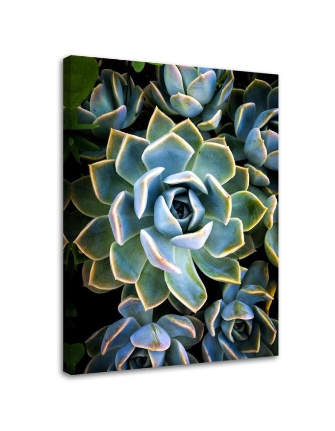 Botanical Canvas prints for living room - White succulent flower | FEEBY