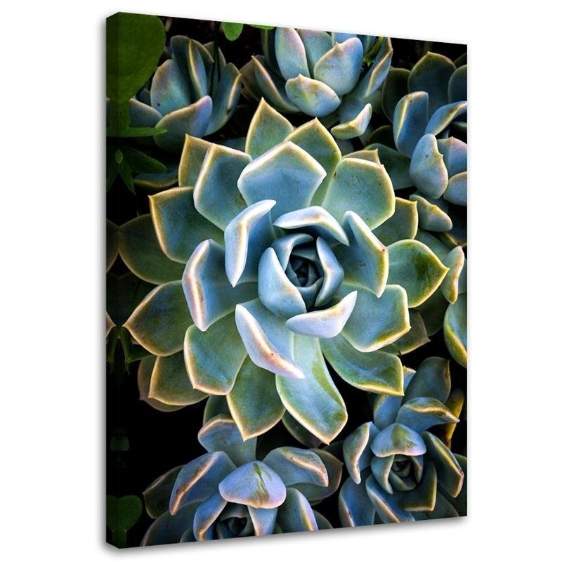 Botanical Canvas prints for living room - White succulent flower | FEEBY