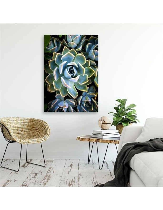 Botanical Canvas prints for living room - White succulent flower | FEEBY