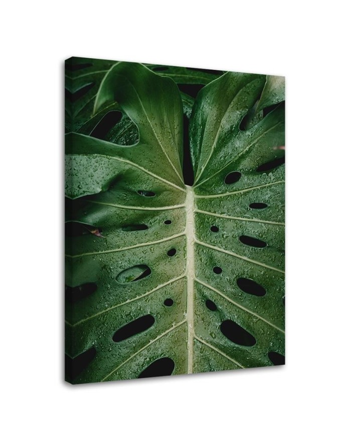 Monstera leaf - canvas print painting for wall | FEEBY