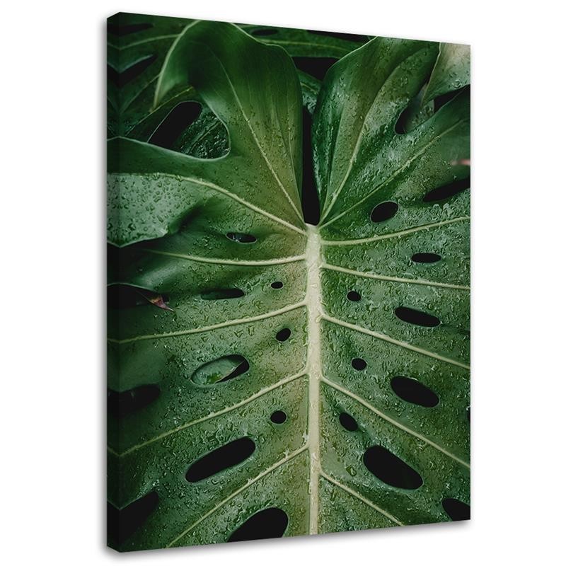 Monstera leaf - canvas print painting for wall | FEEBY