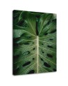 Monstera leaf - canvas print painting for wall | FEEBY