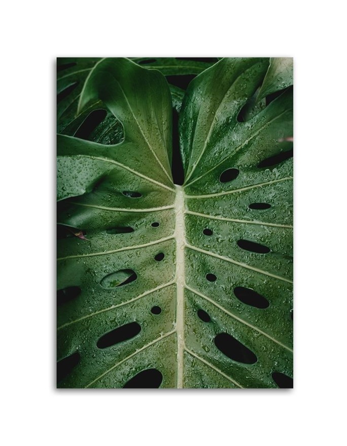 Monstera leaf - canvas print painting for wall | FEEBY