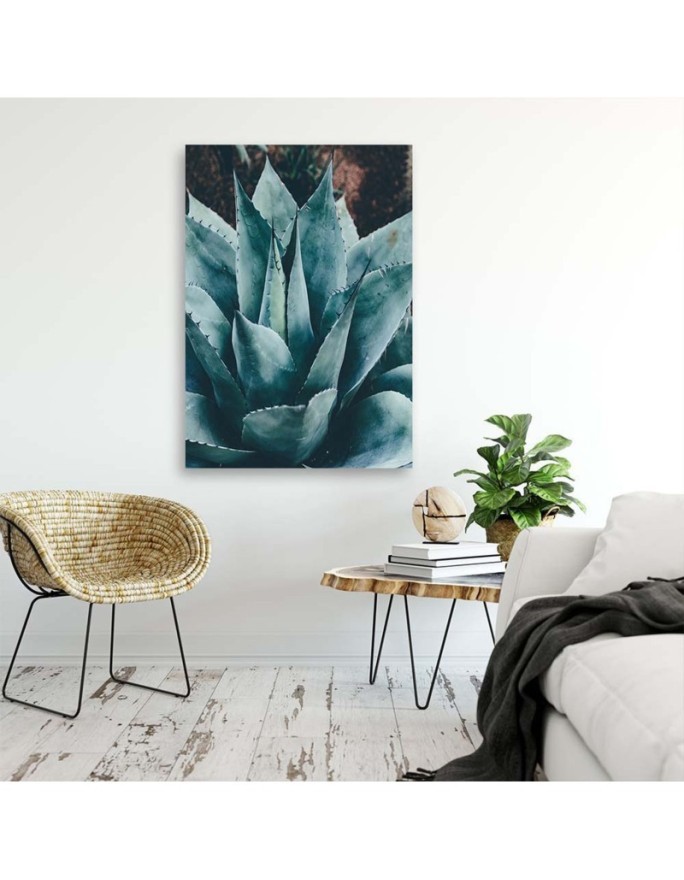 Canvas wall art for bathroom, living room - Agave with large leaves | FEEBY