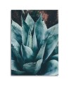 Canvas wall art for bathroom, living room - Agave with large leaves | FEEBY
