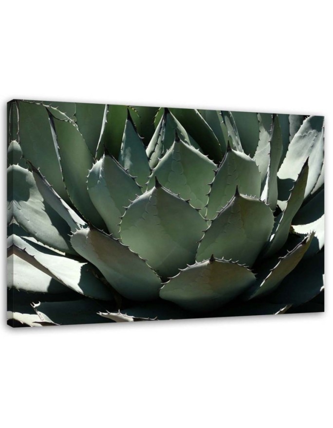 Modern decoration Canvas painting - Agave leaves plant | FEEBY