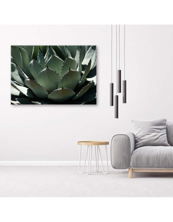 Modern decoration Canvas painting - Agave leaves plant | FEEBY