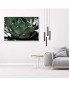 Modern decoration Canvas painting - Agave leaves plant | FEEBY