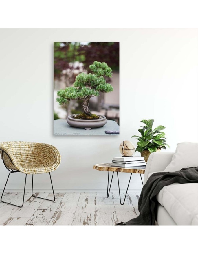 Canvas painting for kitchen - Bonsai tree on stones | FEEBY