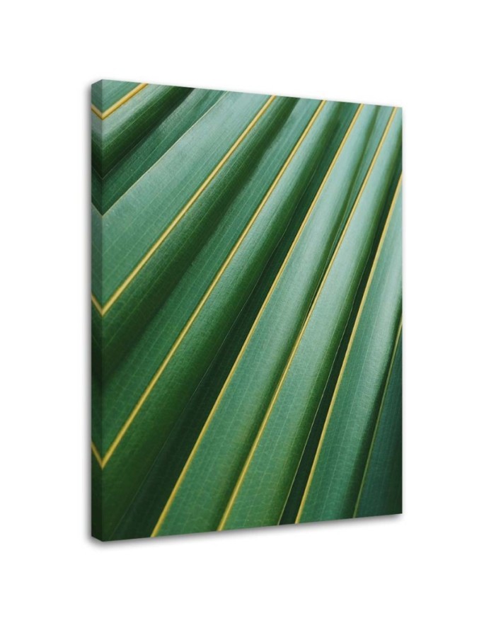 Fashionable wall art paintings for living room - Palm leaves plant | FEEBY