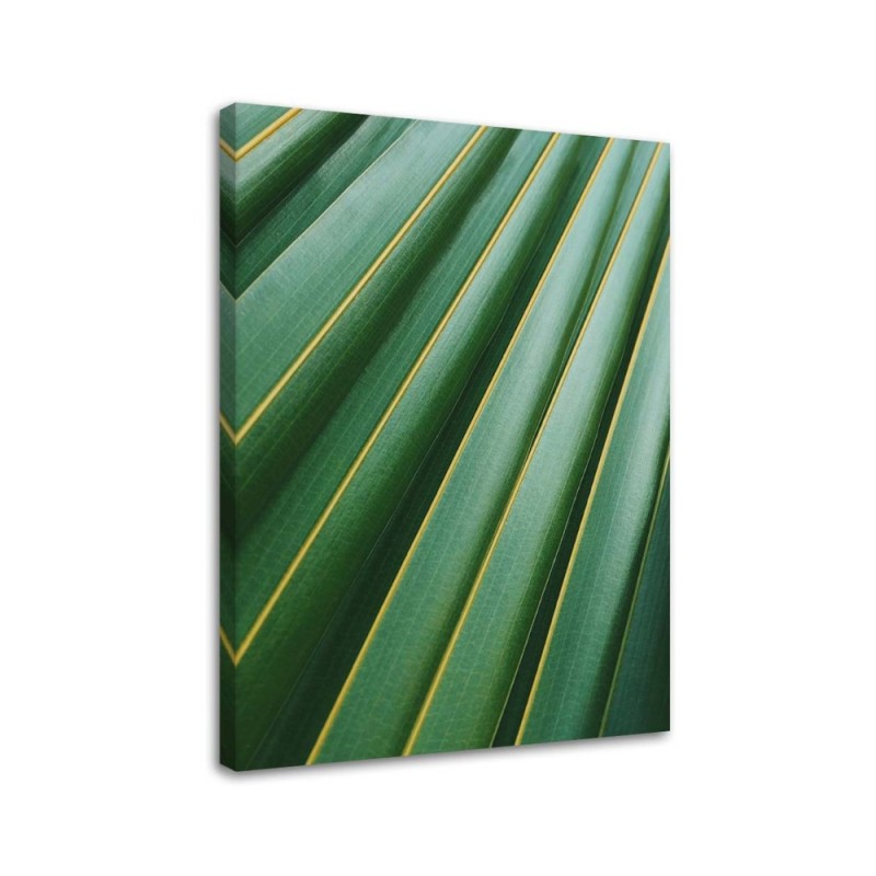 Fashionable wall art paintings for living room - Palm leaves plant | FEEBY