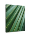Fashionable wall art paintings for living room - Palm leaves plant | FEEBY