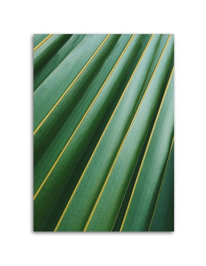 Fashionable wall art paintings for living room - Palm leaves plant | FEEBY