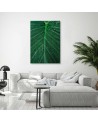 Illustration canvas painting for wall - Water drops on a leaf | FEEBY