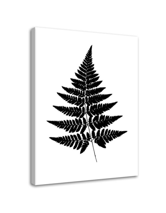 Canvas prints for living room wall - Fern leaf | FEEBY
