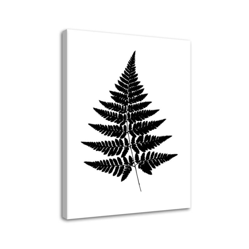 Canvas prints for living room wall - Fern leaf | FEEBY