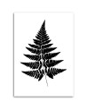 Canvas prints for living room wall - Fern leaf | FEEBY