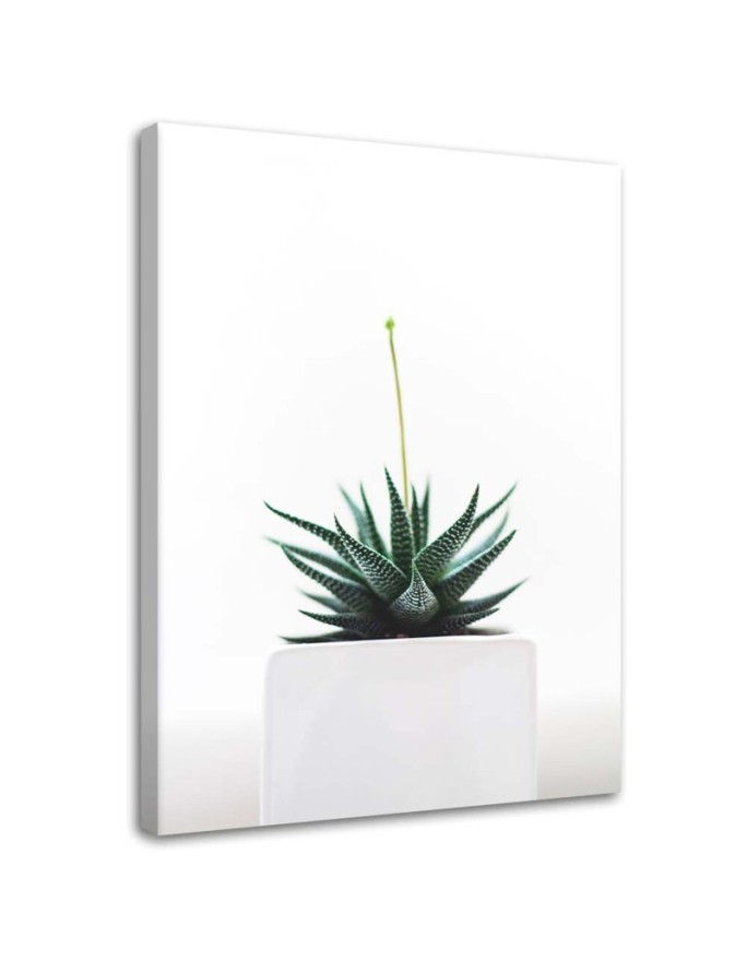 Canvas print Young plant in...