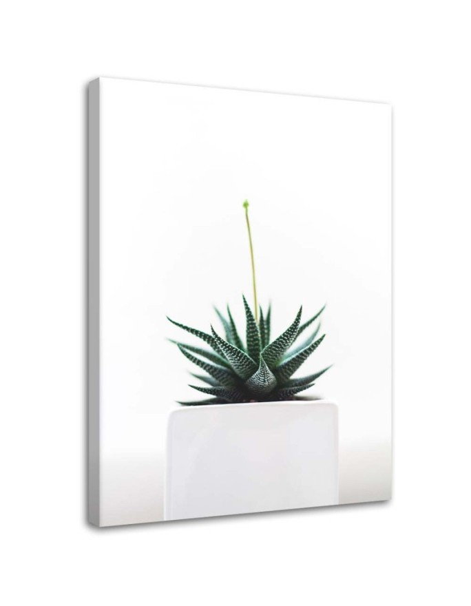 Modern painting for living room - Cactus plant in a pot | FEEBY