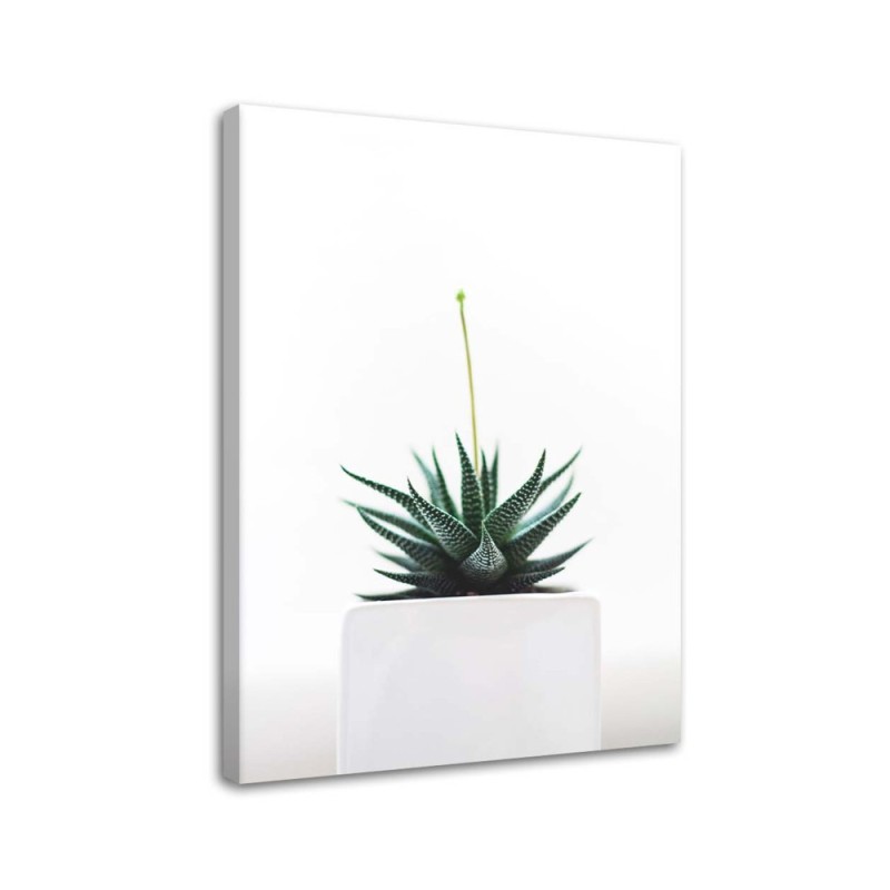 Modern painting for living room - Cactus plant in a pot | FEEBY