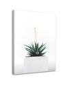 Modern painting for living room - Cactus plant in a pot | FEEBY