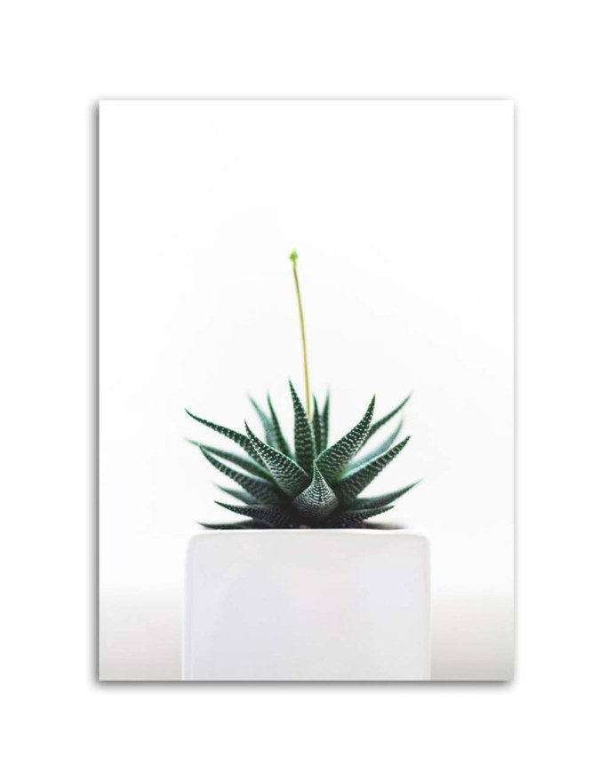 Modern painting for living room - Cactus plant in a pot | FEEBY