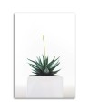 Modern painting for living room - Cactus plant in a pot | FEEBY