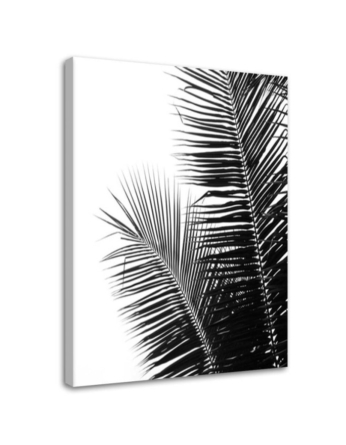 Canvas print Palm leaves B&W