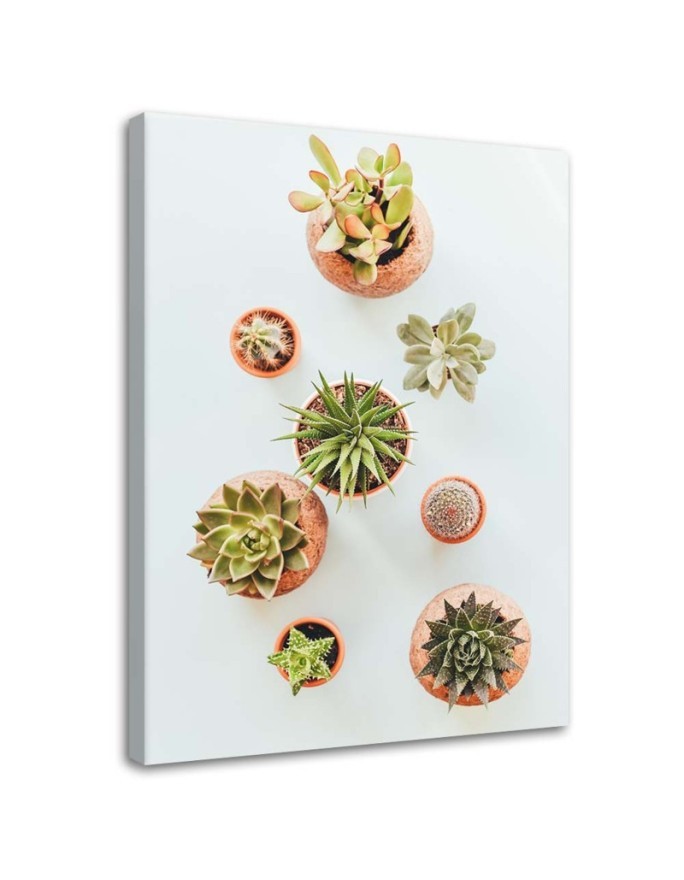 Modern painting for the kitchen - Plants in pots | FEEBY