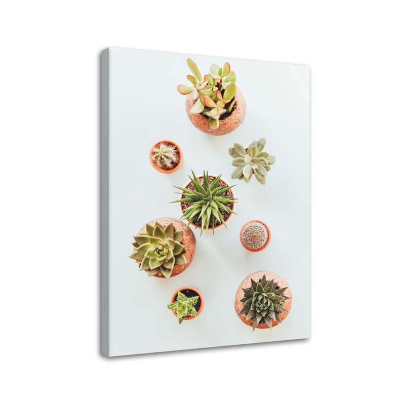Modern painting for the kitchen - Plants in pots | FEEBY