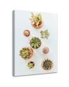 Modern painting for the kitchen - Plants in pots | FEEBY